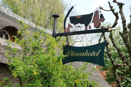 dierenhotel